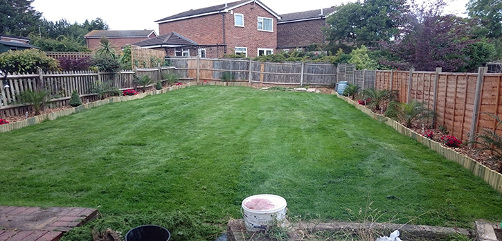 Landscape and Lawn